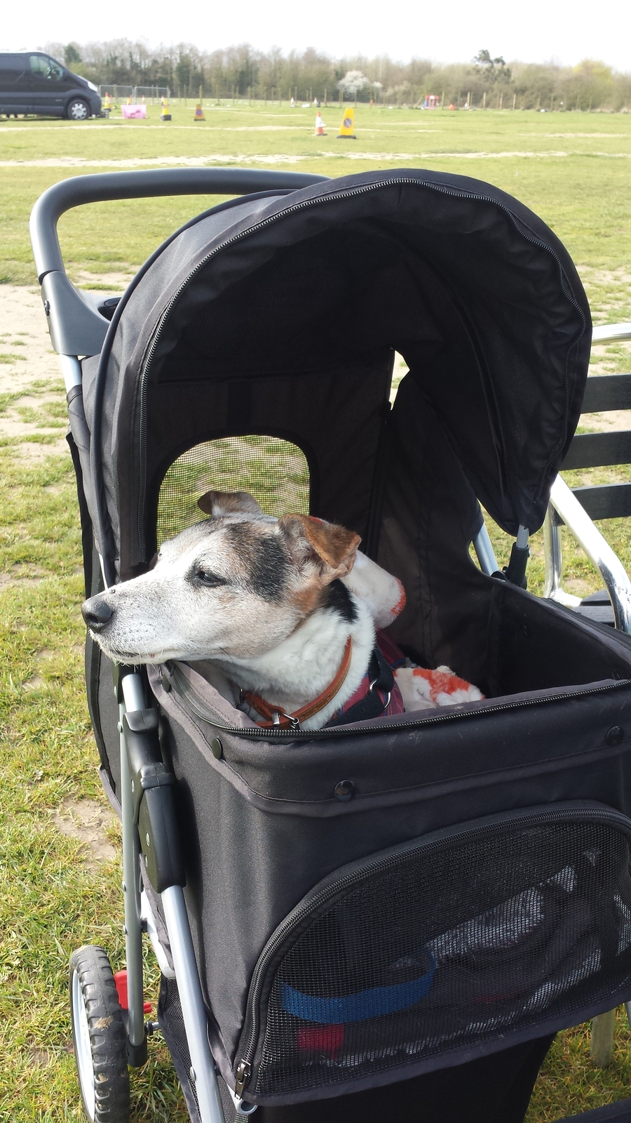foxhunter dog pram